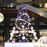 ■GRAND WISH CHRISTMAS 2019 「Brilliant Tree」