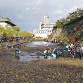 岸和田城のお堀で「緊急SOS！池の水ぜんぶ抜く大作戦」