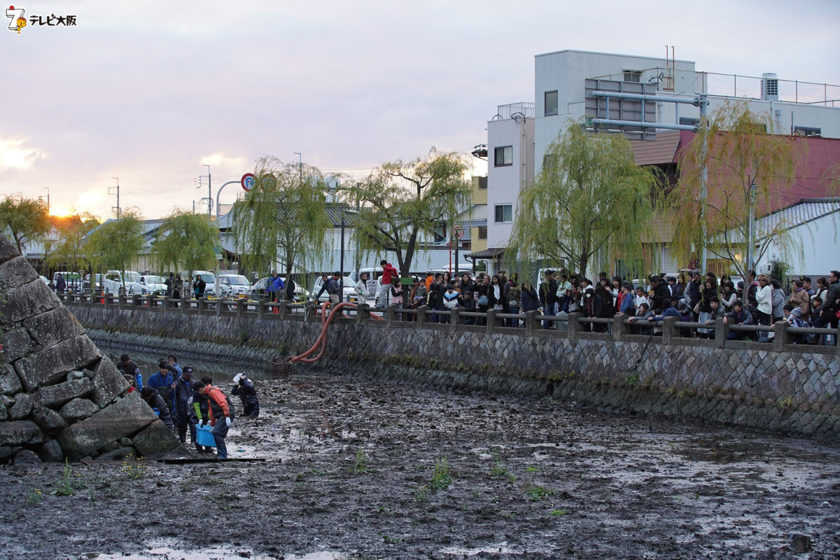 岸和田城のお堀で「緊急SOS！池の水ぜんぶ抜く大作戦」