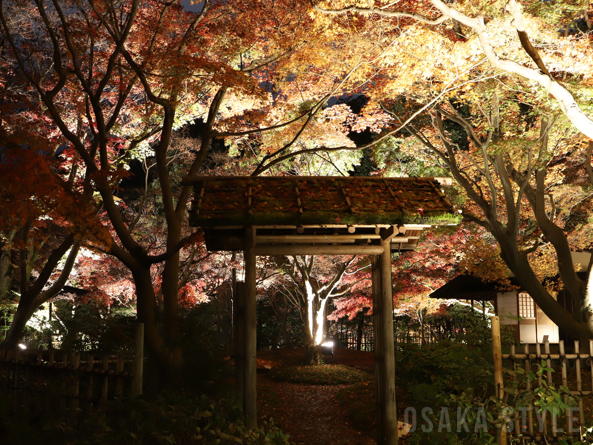 動画 万博記念公園 紅葉まつり 日本庭園の夜間ライトアップ公開 Osaka Style