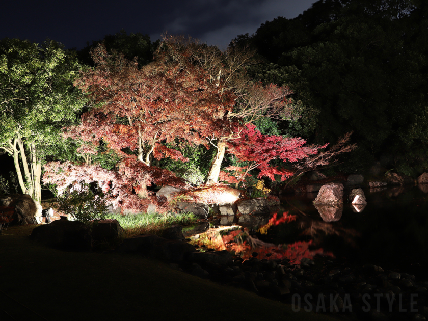 日本庭園の夜間ライトアップ