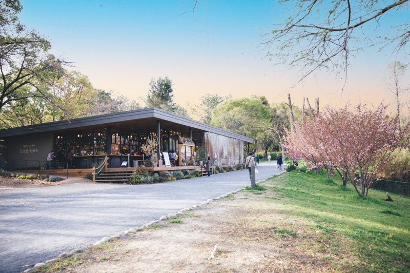 PARK in CAFÉ birdtree (バードツリー）