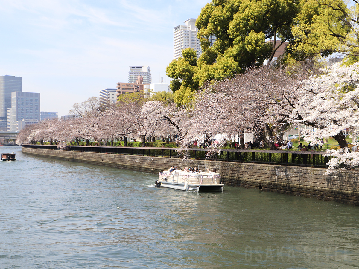 動画 大阪でお花見クルーズ 大川さくらクルーズ が運航 川沿いの桜並木を水上から眺める Osaka Style