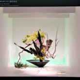 いけばなの根源池坊展 大阪花展