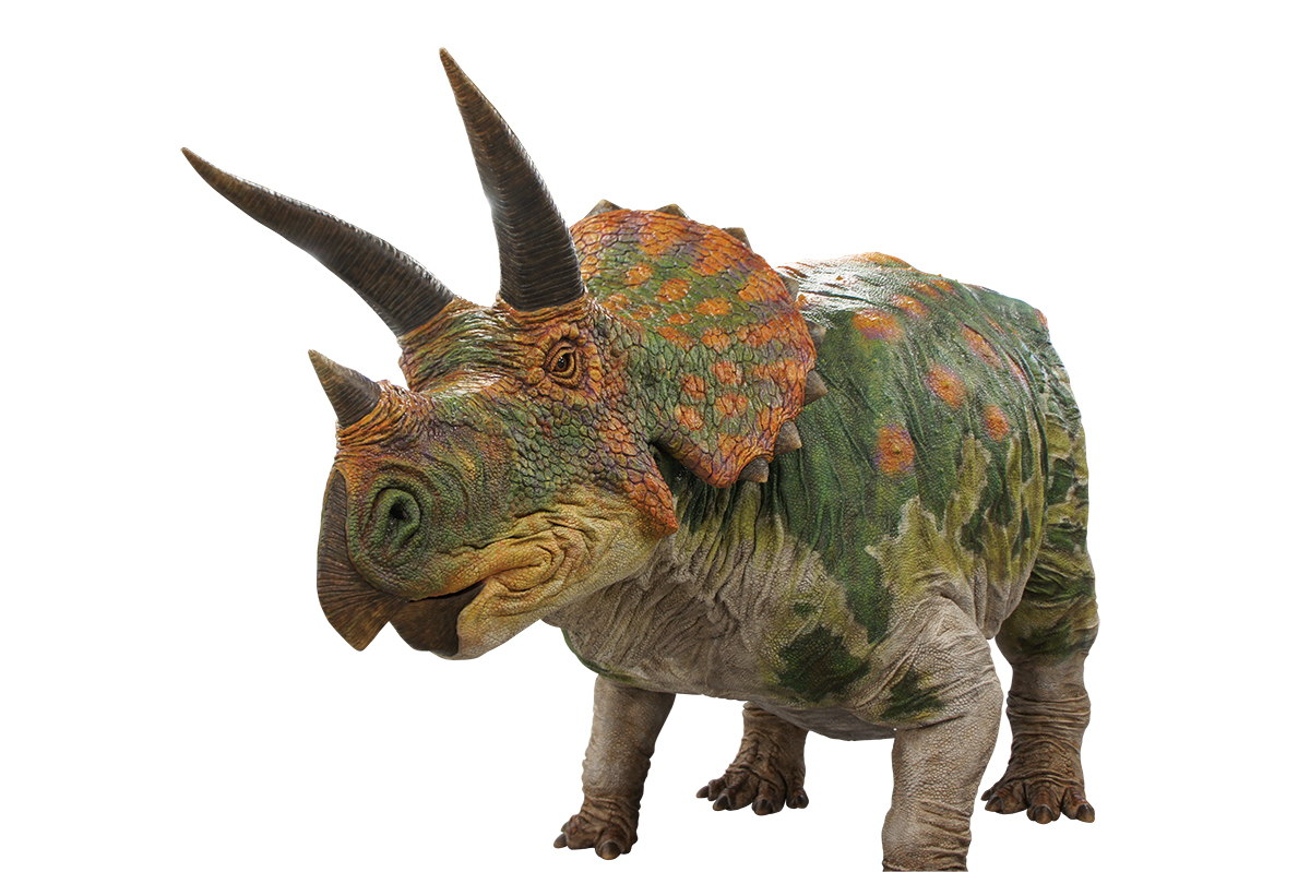 タカラ　ダイアクロン　恐竜ロボ　トリケラトプス タカラ ダイアクロン 恐竜ロボ トリケラトプス - メルカリ