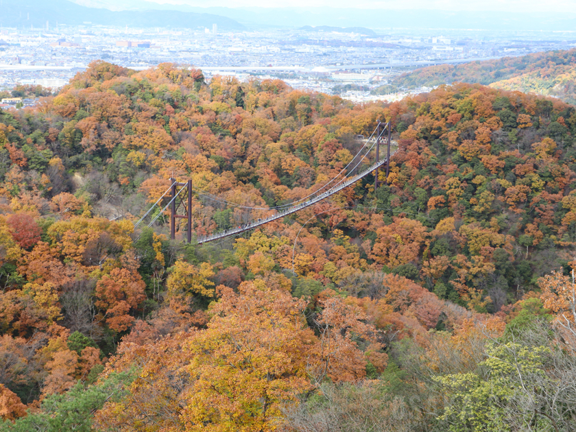 ほしだ園地 星のブランコの紅葉