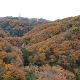 ほしだ園地の紅葉