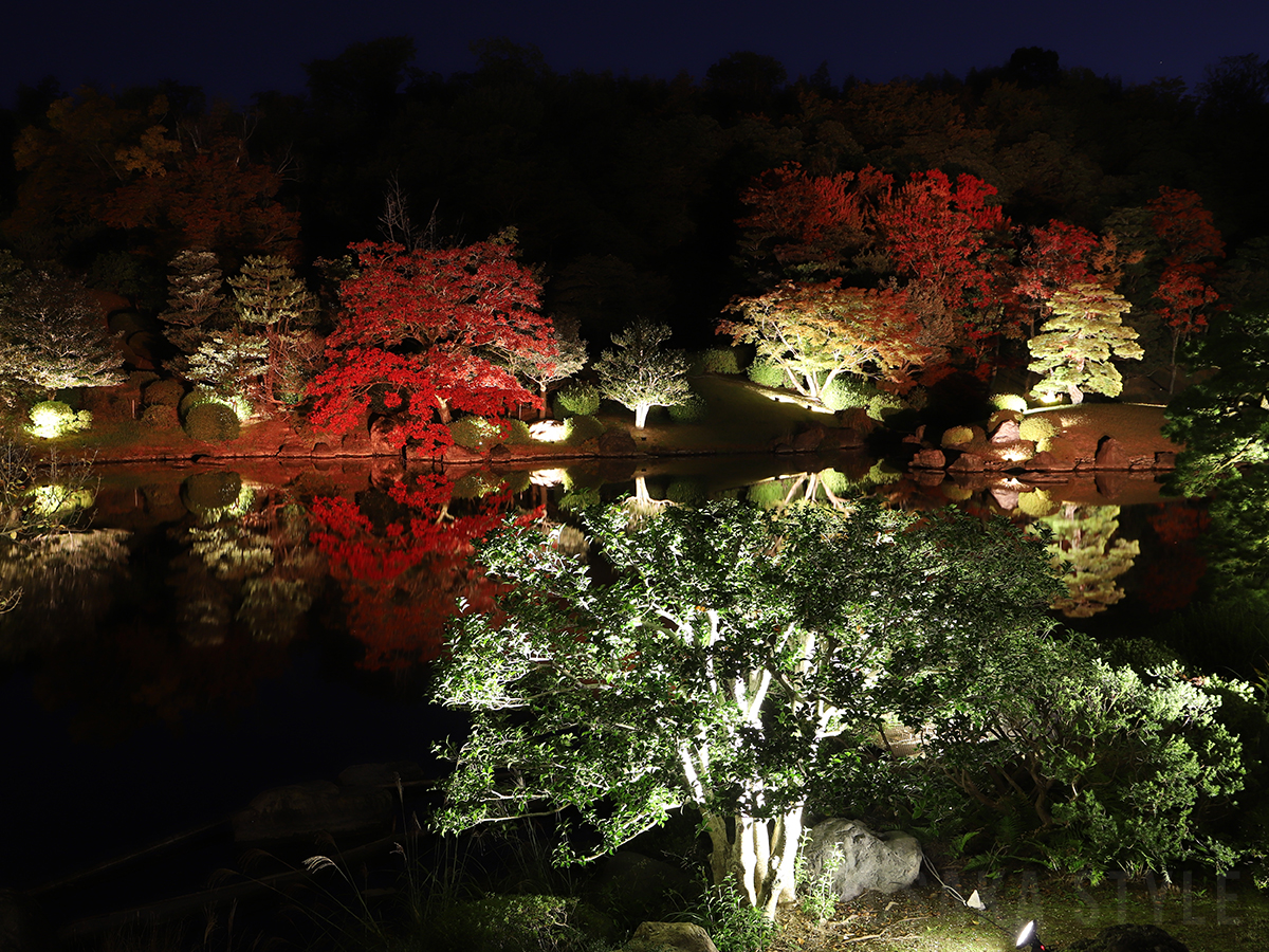 日本庭園夜間ライトアップ ～MOMIJI Night Forest ～