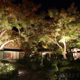 万博記念公園 紅葉まつり　日本庭園夜間ライトアップ ～MOMIJI Night Forest～