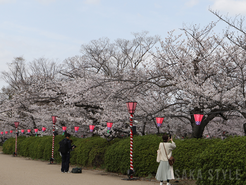 大阪城西の丸庭園の桜
