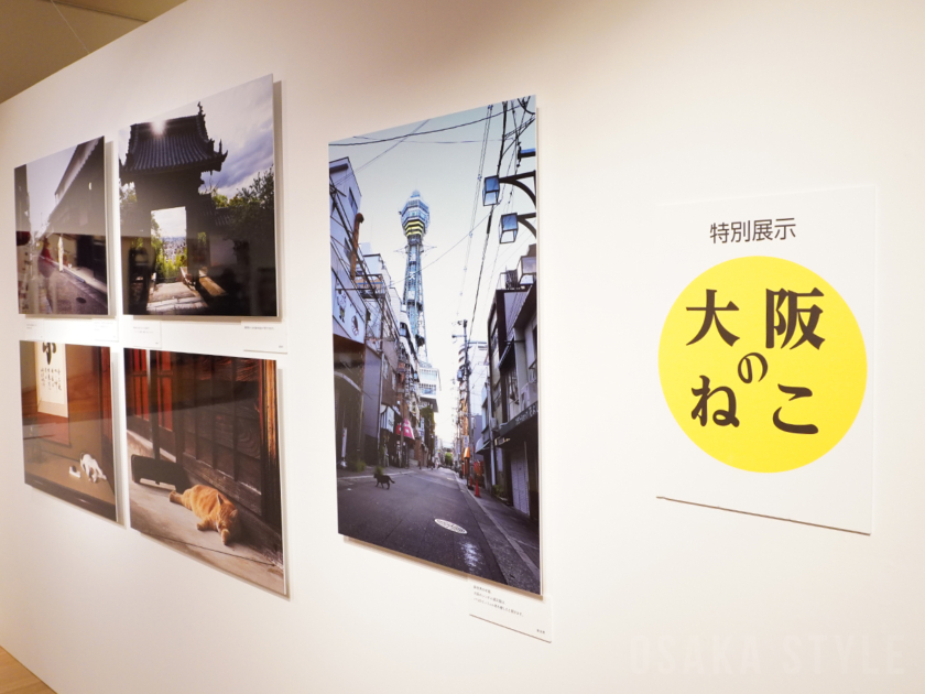 阪急うめだ本店で「写真展 岩合光昭の日本のねこ歩き」