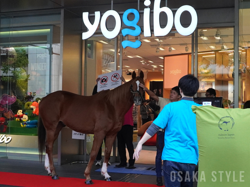 Yogibo Store 御堂筋本町店にアドマイヤジャパン登場