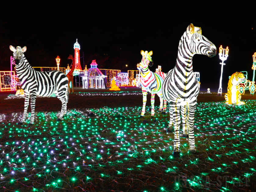 初代通天閣、天王寺動物園のイルミネーション