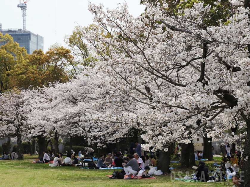 大阪城公園西の丸庭園