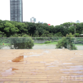 慶沢園を望むテラス　大阪市立美術館