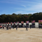 大阪城公園で「やきいもフェス OSAKA 2024」