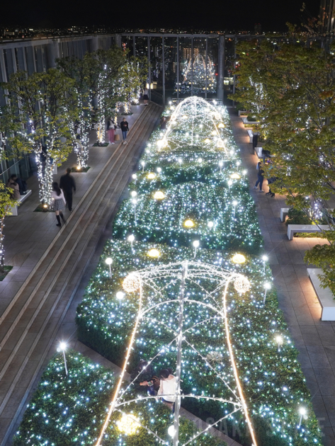 あべのハルカス16階屋外庭園のイルミネーション