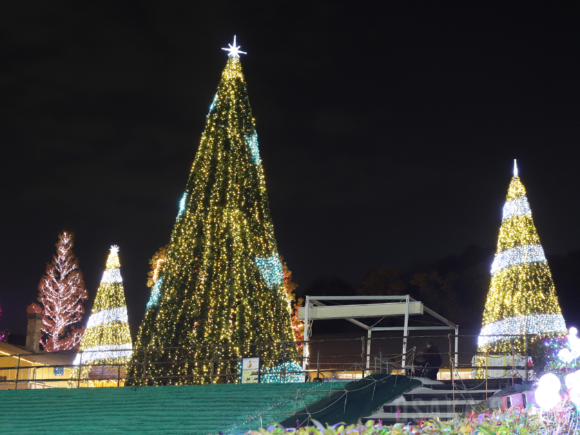 高さ12メートルのクリスマスツリー3本