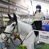 JRA阪神競馬場リニューアル記念イベント「ナルホド！PARK」