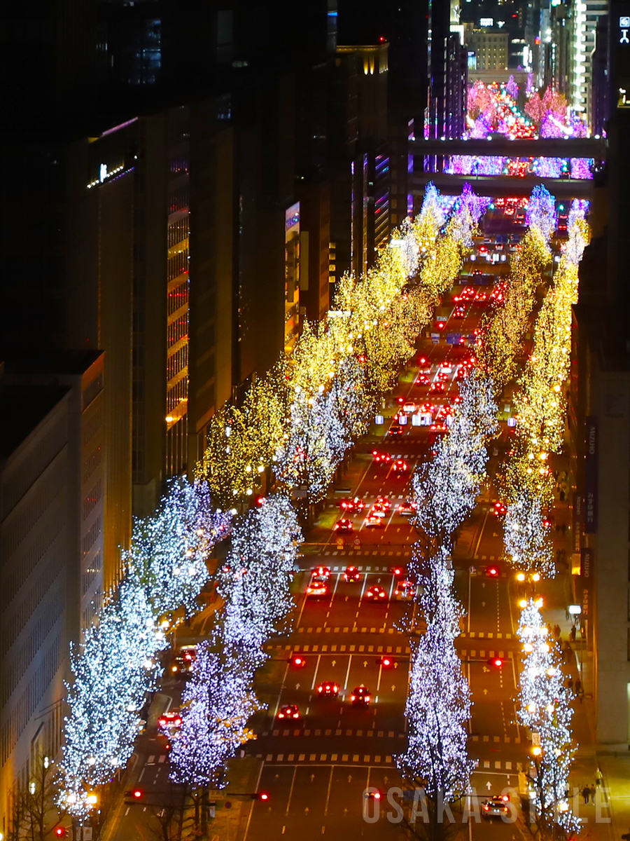 動画】「御堂筋イルミネーション」大阪・関西万博に合わせて特別点灯