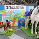 JRA阪神競馬場リニューアルイベント「ナルホド！PARK」