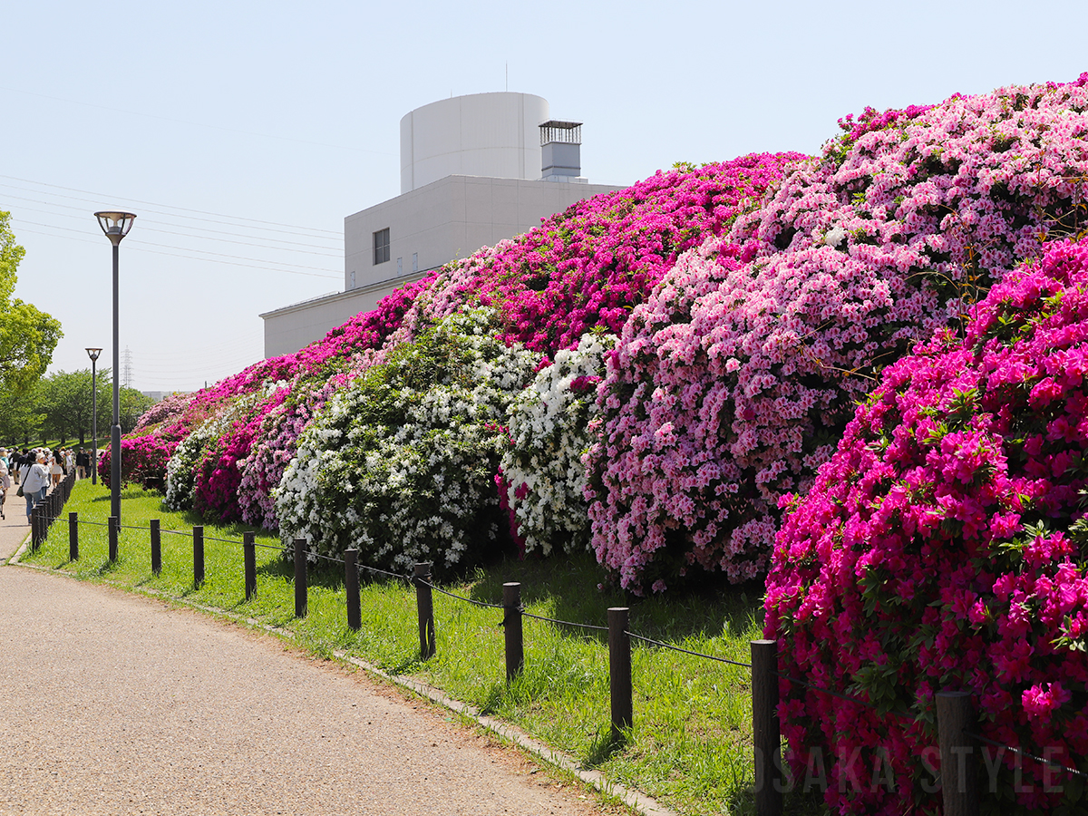 動画】堺・浅香山緑道のツツジ見頃 – OSAKA STYLE