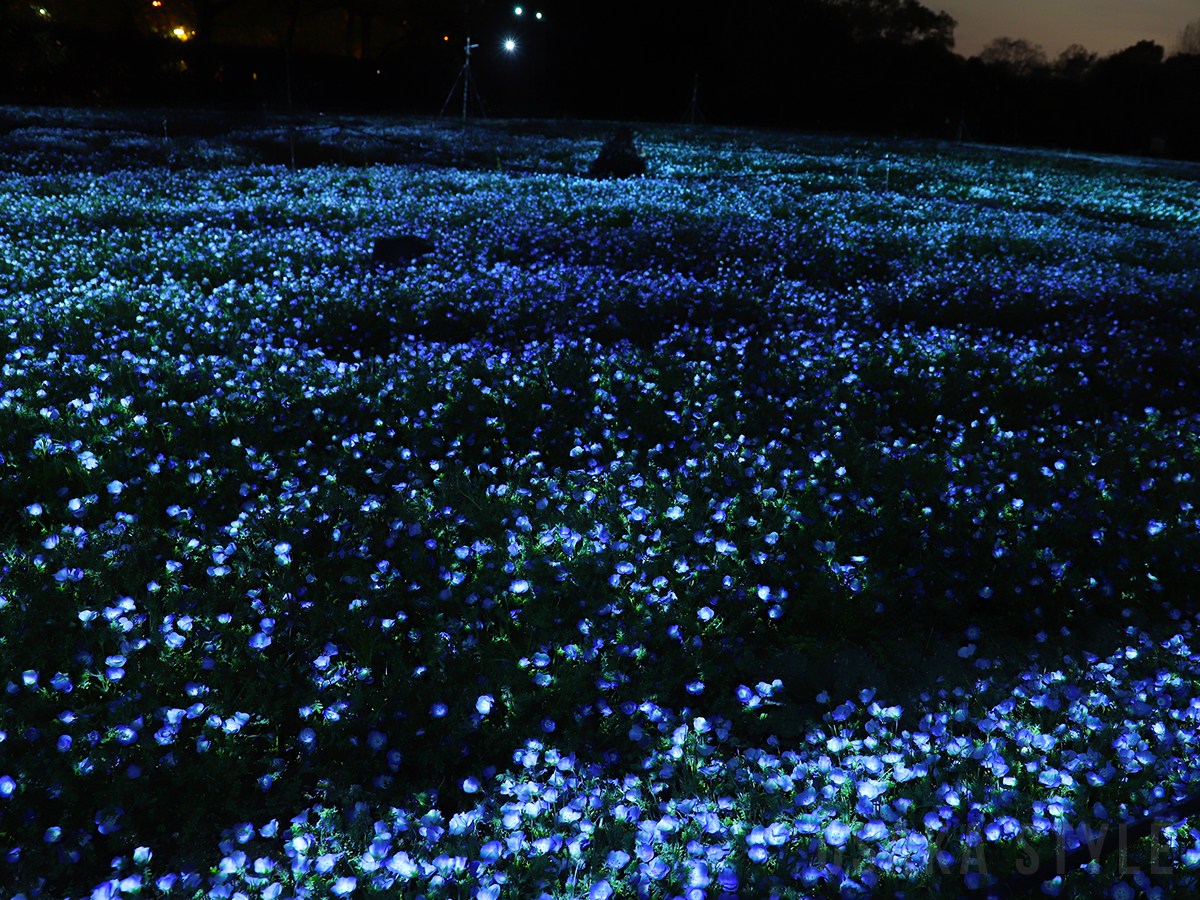 チームラボ ボタニカルガーデン 大阪 – OSAKA STYLE