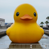 ラバー・ダック