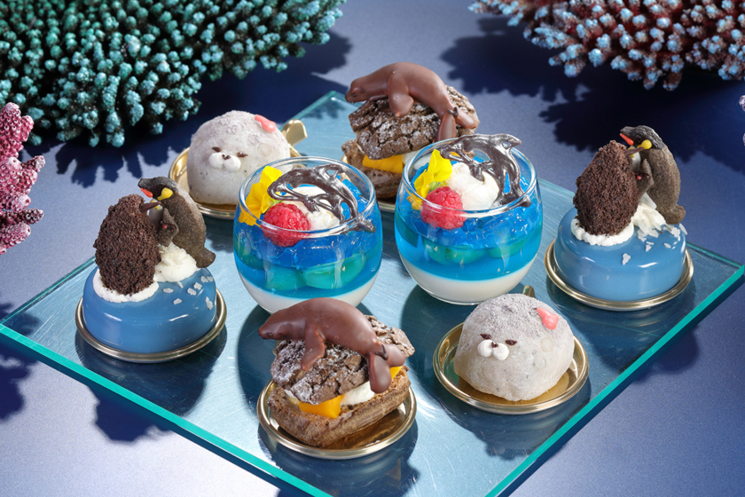 海遊館×シェラトン都ホテル大阪 コラボレーションアフタヌーンティー Vol.2 ～スイーツでつなぐサンゴの海と海の生きものたち～