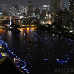 令和OSAKA天の川伝説2025