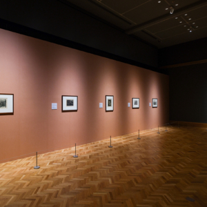 大阪市立美術館で「ゴッホ展　家族がつないだ画家の夢」