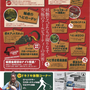 近鉄アート館で「開運・世界のへび祭り」