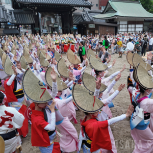 天神天満阿波おどり