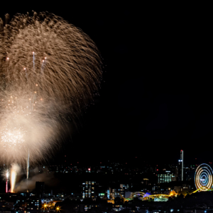 第3回水都くらわんか花火大会の写真