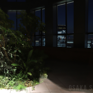絶景スポット「淀屋橋スカイテラス」