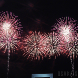 大阪・関西万博で「晴れ風ACTION特別共催 未来につなぐ希望の花火」