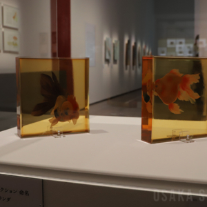 あべのハルカス美術館で「深堀隆介展 水面のゆらぎの中へ」　