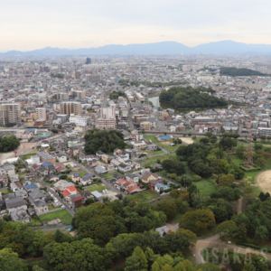 「おおさか堺バルーン」からの眺め