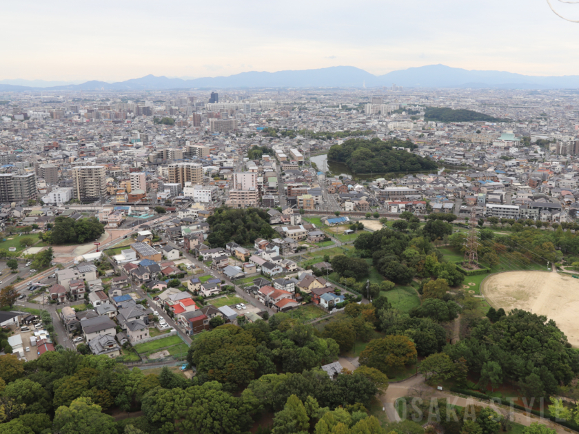 「おおさか堺バルーン」からの眺め