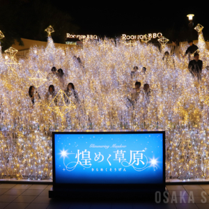 なんばパークス「煌めく草原」