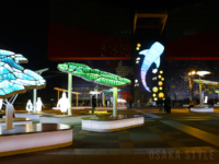 海遊館イルミネーション 2025