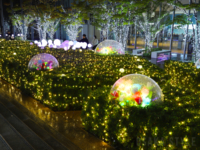 あべのハルカス16階のイルミネーション