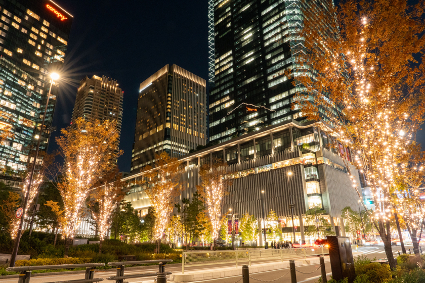 グラングリーン大阪でイルミネーション点灯