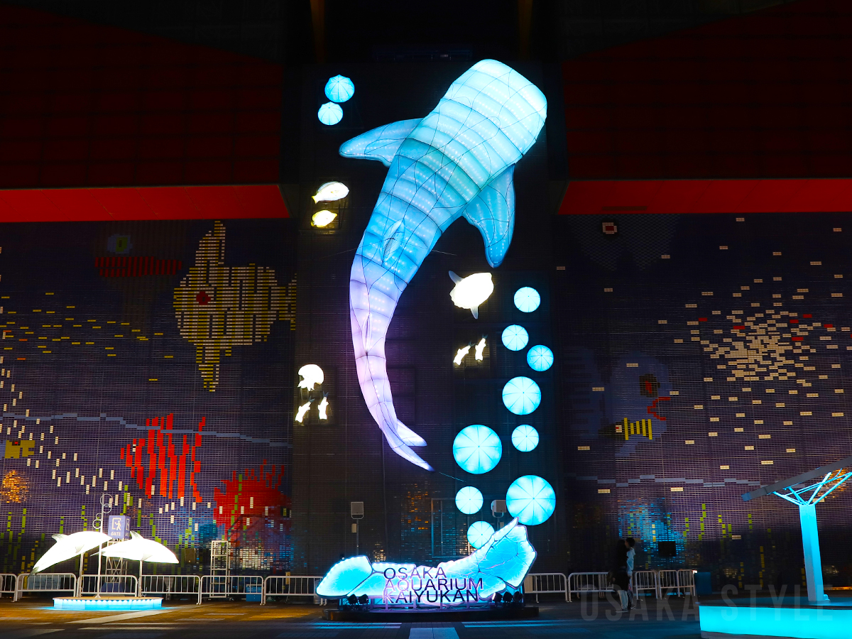 全長約16メートルのジンベエザメ