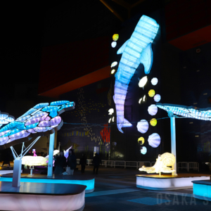 海遊館イルミネーション 2025