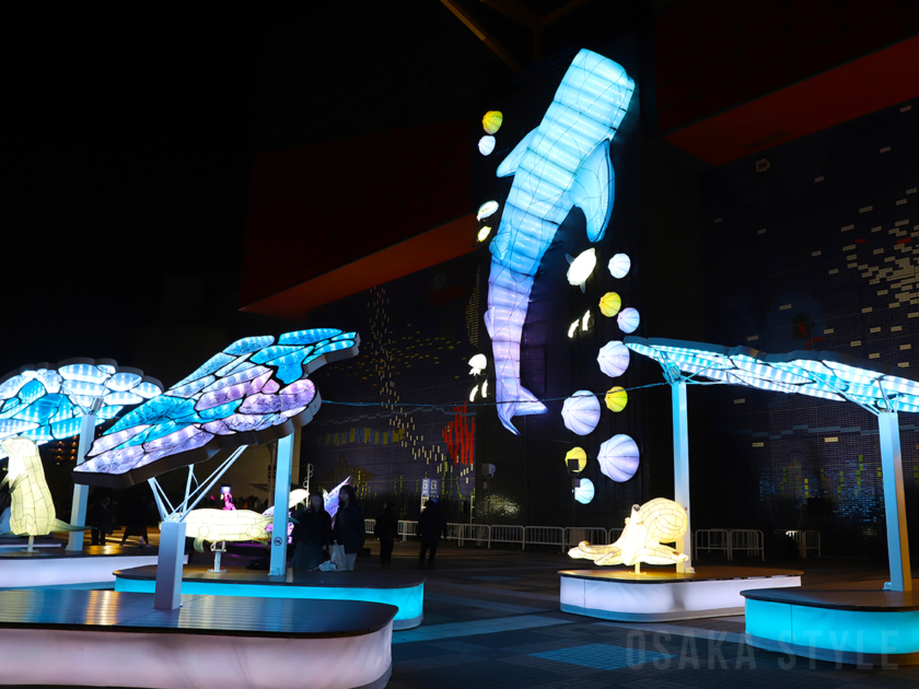 海遊館イルミネーション 2025