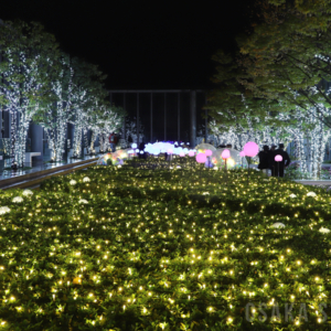 あべのハルカス16階のイルミネーション