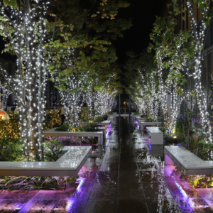 あべのハルカス16階屋外庭園のイルミネーション