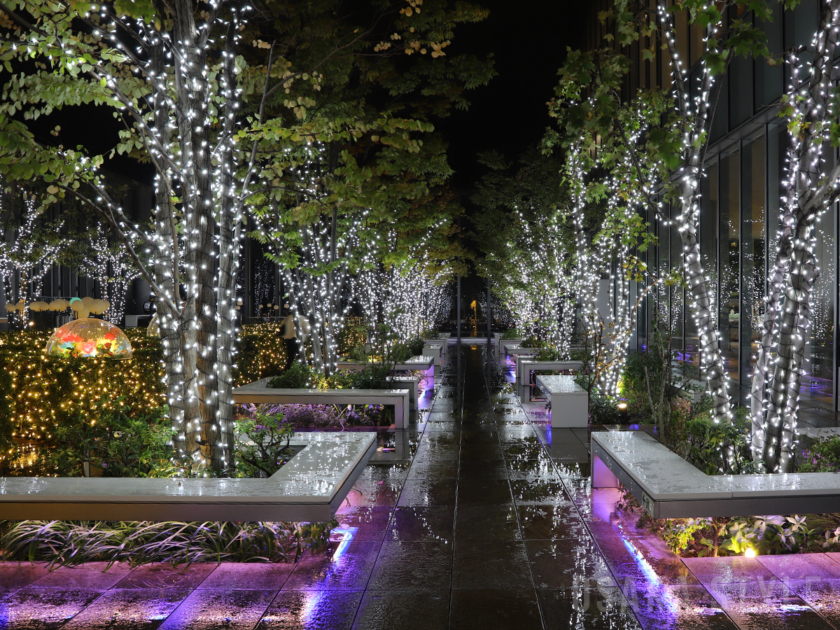 あべのハルカス16階屋外庭園のイルミネーション