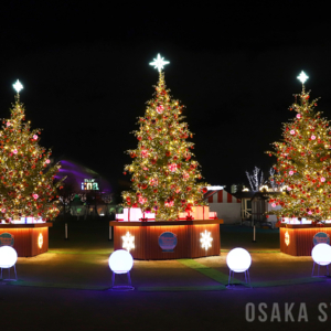 「クリスマスマーケット in 大阪 てんしば 2025」のクリスマスツリー